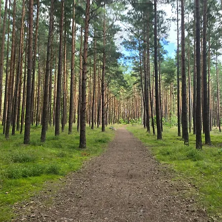Sakalo Guboja Apartment Palanga