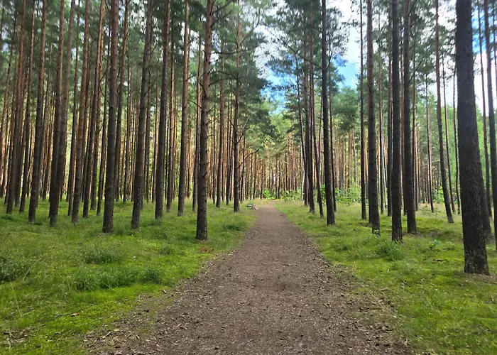 Sakalo Guboja דירה פלאנגה